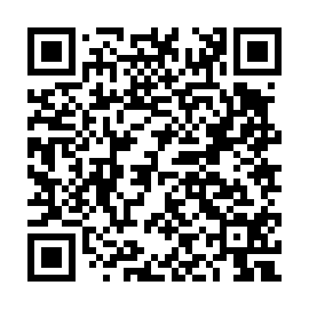 QR code for DIZ414