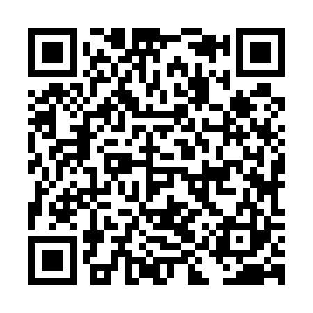 QR code for DIZ523