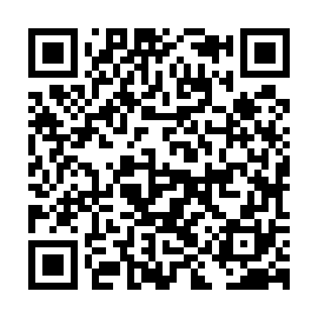 QR code for DIZ570