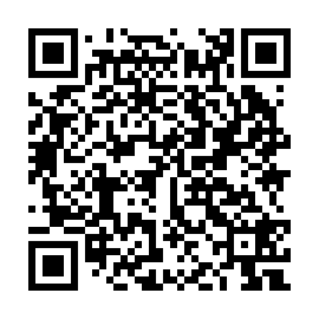 QR code for DJI228