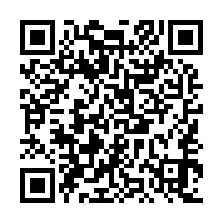 QR code for DJL951
