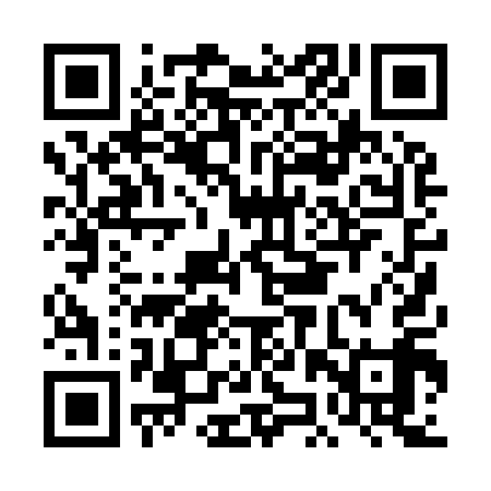 QR code for DJP919