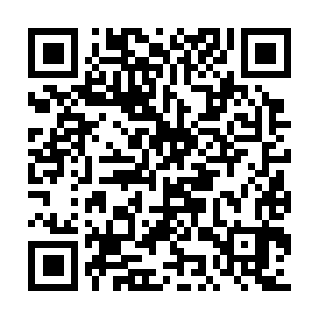 QR code for DKV383
