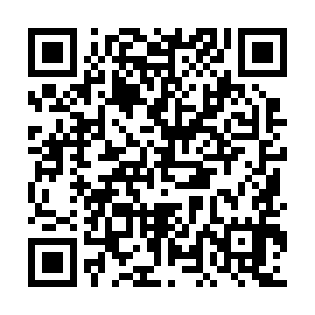 QR code for DLI295