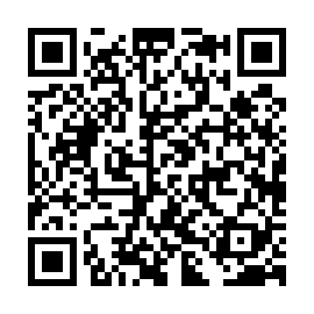 QR code for DLP529