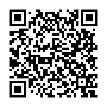QR code for DLP535