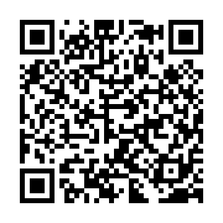 QR code for DLU011