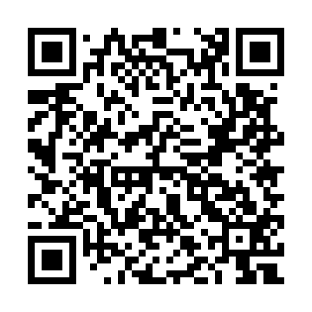 QR code for DLU513