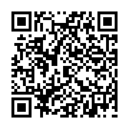 QR code for DLU955