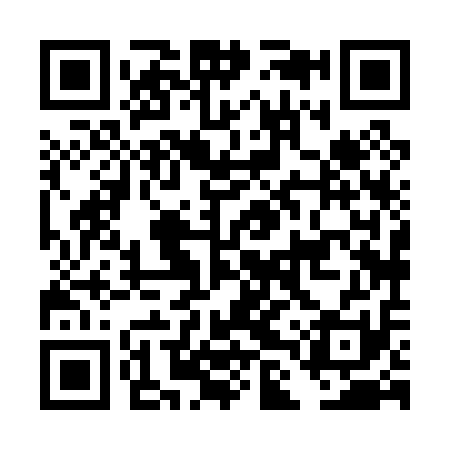 QR code for DLX011
