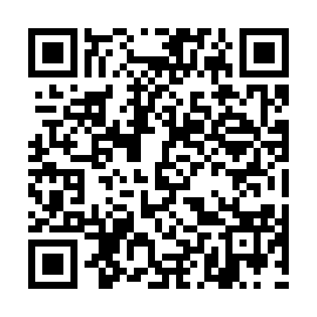 QR code for DLZ313