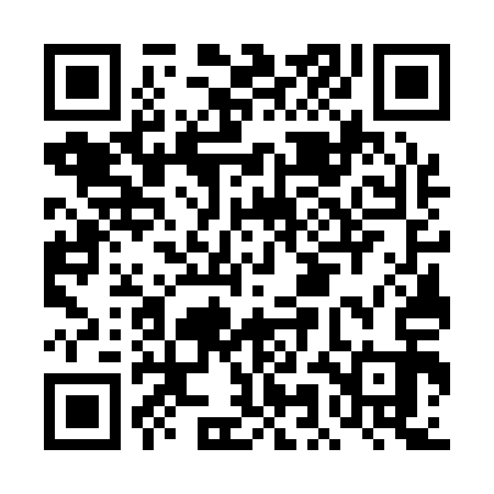 QR code for DMG113