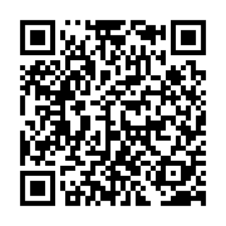QR code for DMG309