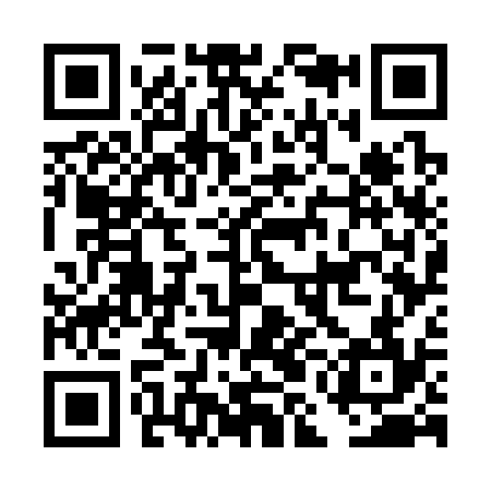 QR code for DMG334