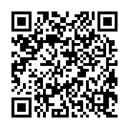 QR code for DMG384