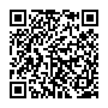 QR code for DMI493