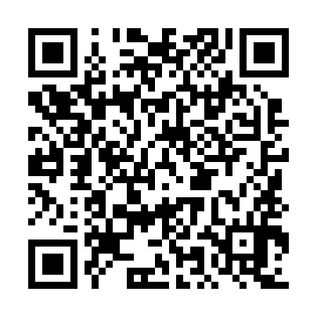 QR code for DML294