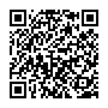 QR code for DMN439