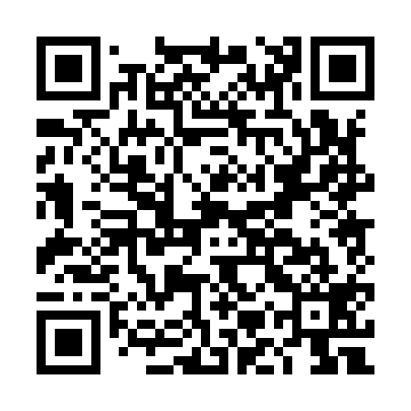 QR code for DMP919