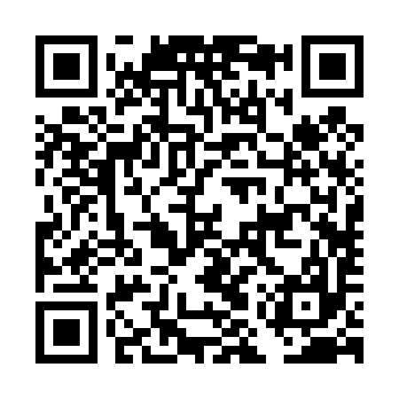 QR code for DMR497