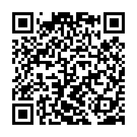 QR code for DMS419
