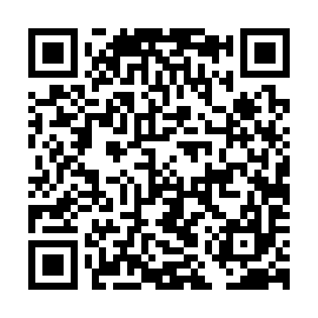 QR code for DMT397