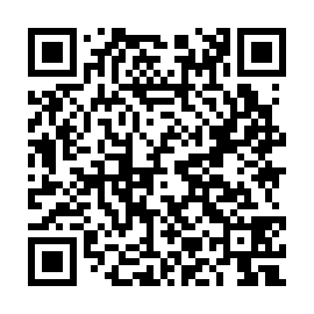 QR code for DMY338