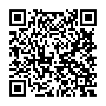 QR code for DMZ863