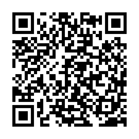 QR code for DNH251