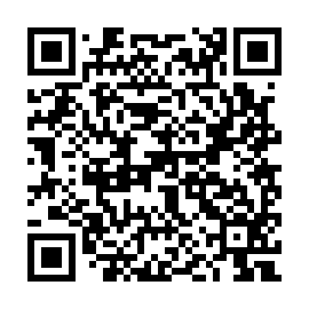 QR code for DNR196