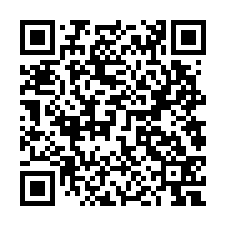 QR code for DNV733