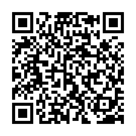 QR code for DOM999