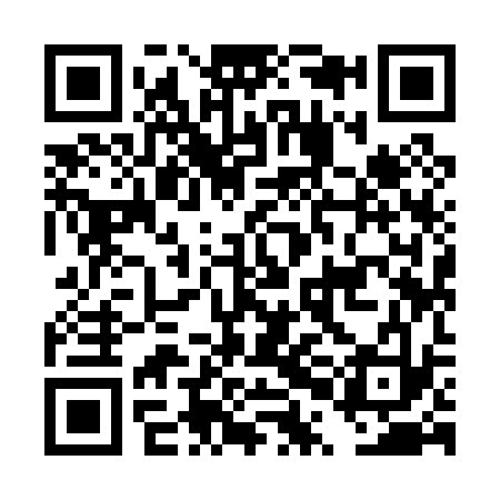 QR code for DPI033