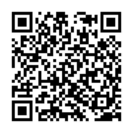 QR code for DPI091