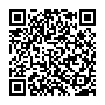 QR code for DPI198