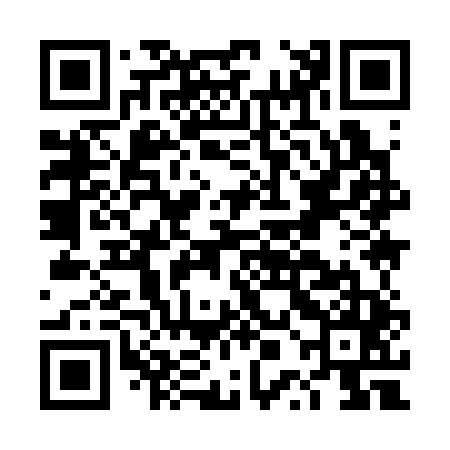 QR code for DPI345