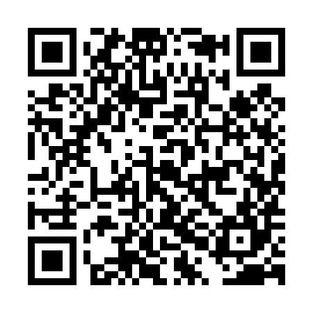 QR code for DPI484