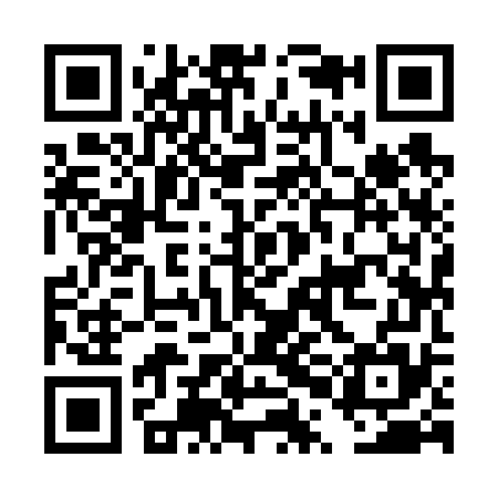 QR code for DPI675