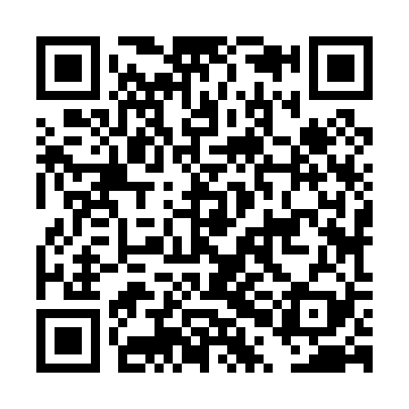 QR code for DPJ029