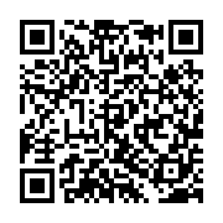 QR code for DPL250
