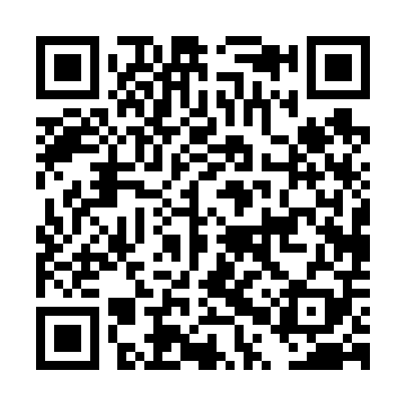 QR code for DPP609