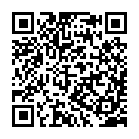 QR code for DPR295