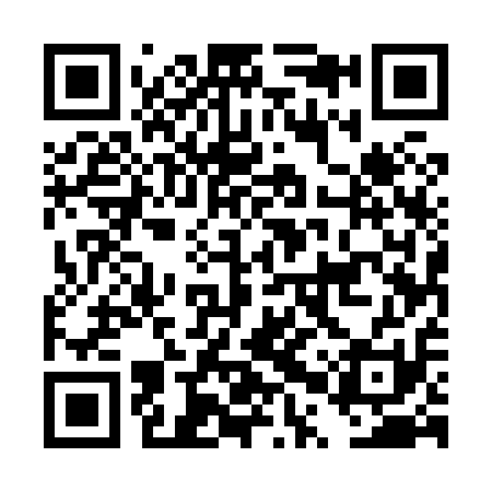 QR code for DPU811