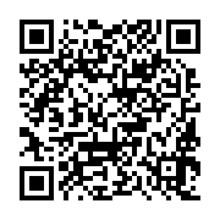 QR code for DQE297