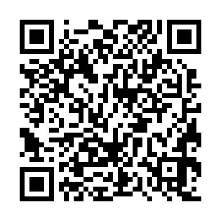 QR code for DQG272