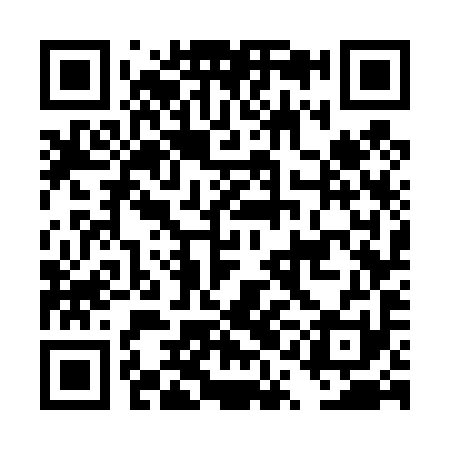 QR code for DQG491