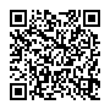 QR code for DQP333