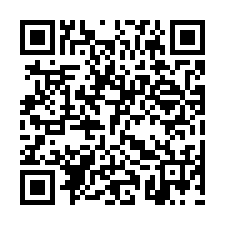 QR code for DQP736