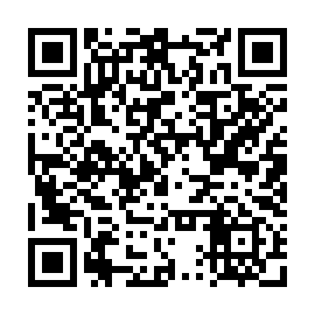 QR code for DQQ399