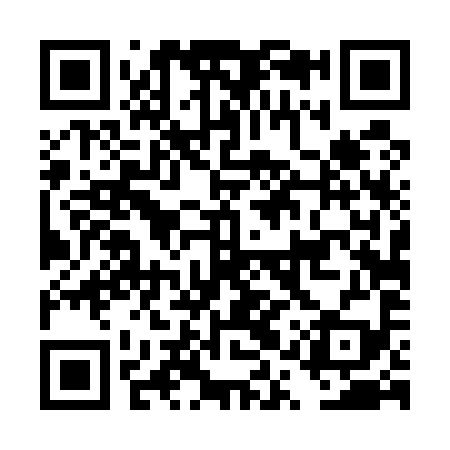 QR code for DQT599